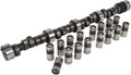 Hydraulic Flat Tappet Camshaft & Lifters for Chevy 262-400 Engines, Lift 0.488” / 0.510” H1969