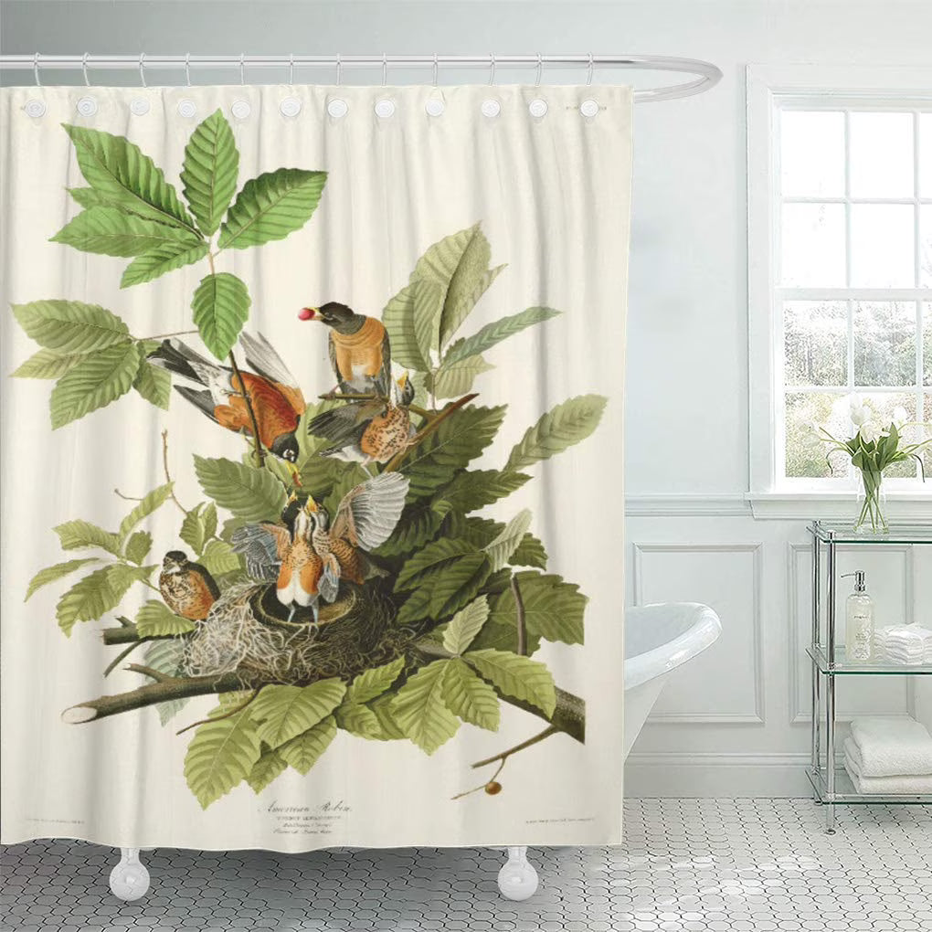American Robin Shower Curtain 66x72 inch O390