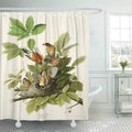 American Robin Shower Curtain 66x72 inch O390