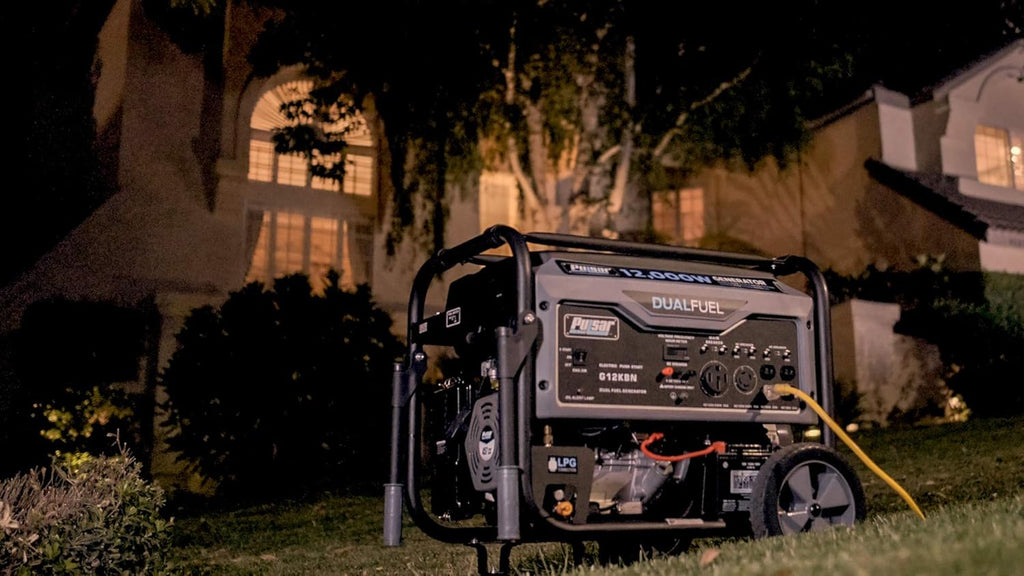 Heavy Duty Portable Dual Fuel Generator P694