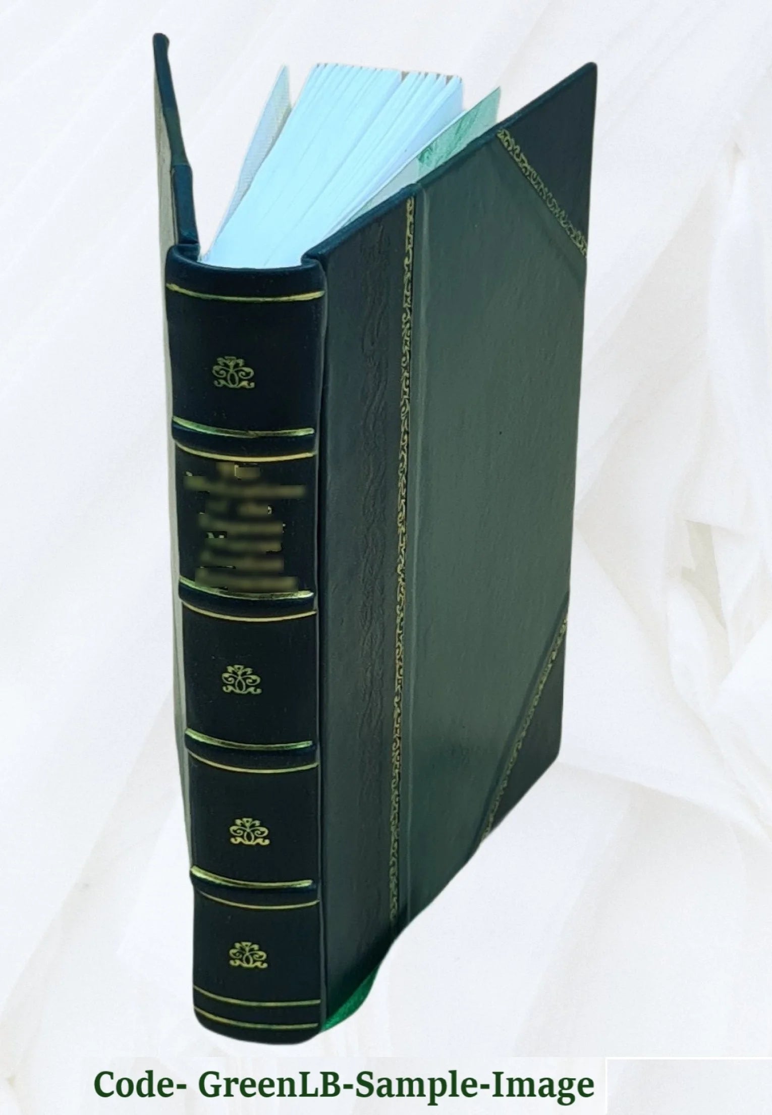 Navajo-Phoenix transmission system environmental impact statement Volume D 1971 Leather Bound E459