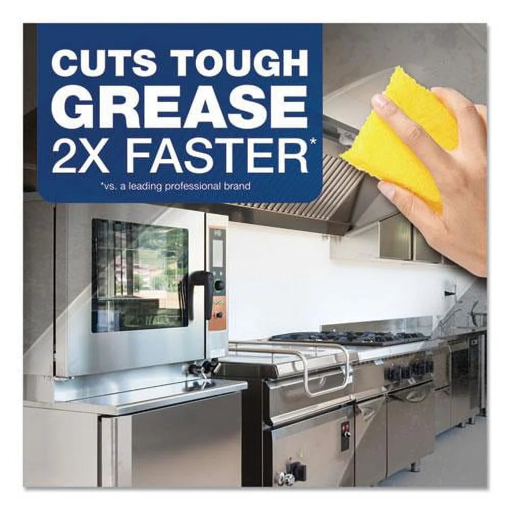 4 Count Heavy Duty Degreaser P144