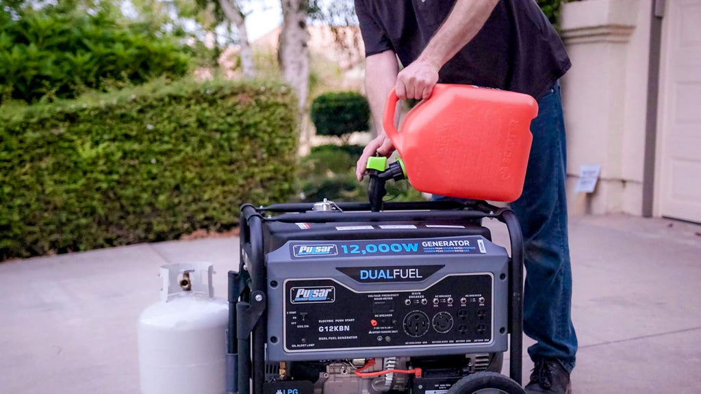 Heavy Duty Portable Dual Fuel Generator P694