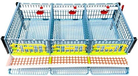 4 Layer ABS Plastic Quail Cage I645436