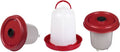 Red Chicken Drinker 10 L. with Plung V625065