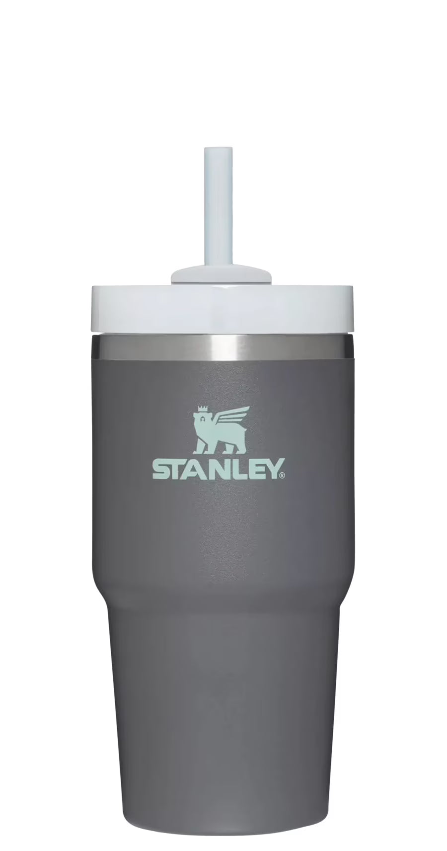 20oz Stainless Steel Tumbler A9995
