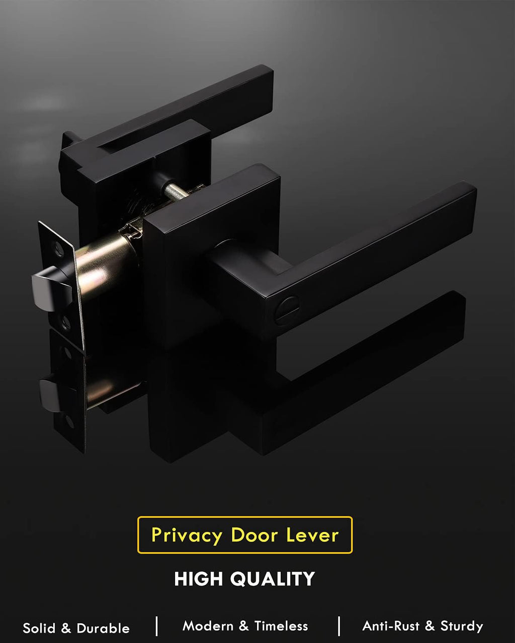 Matte Black Privacy Door Lever with Lock D4582