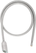 Stainless Steel Finish Hose and Head Y410