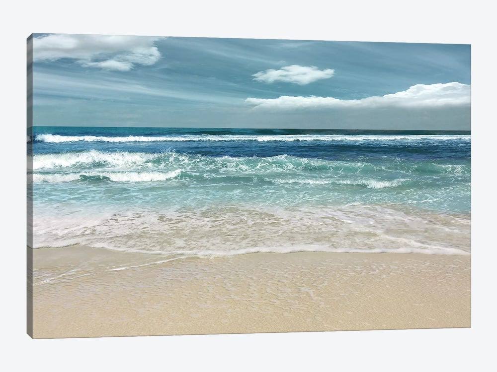 Symphony of The Sea Canvas Art Wall Decor Z884146