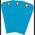 Heavy Duty Blank Tag F63318