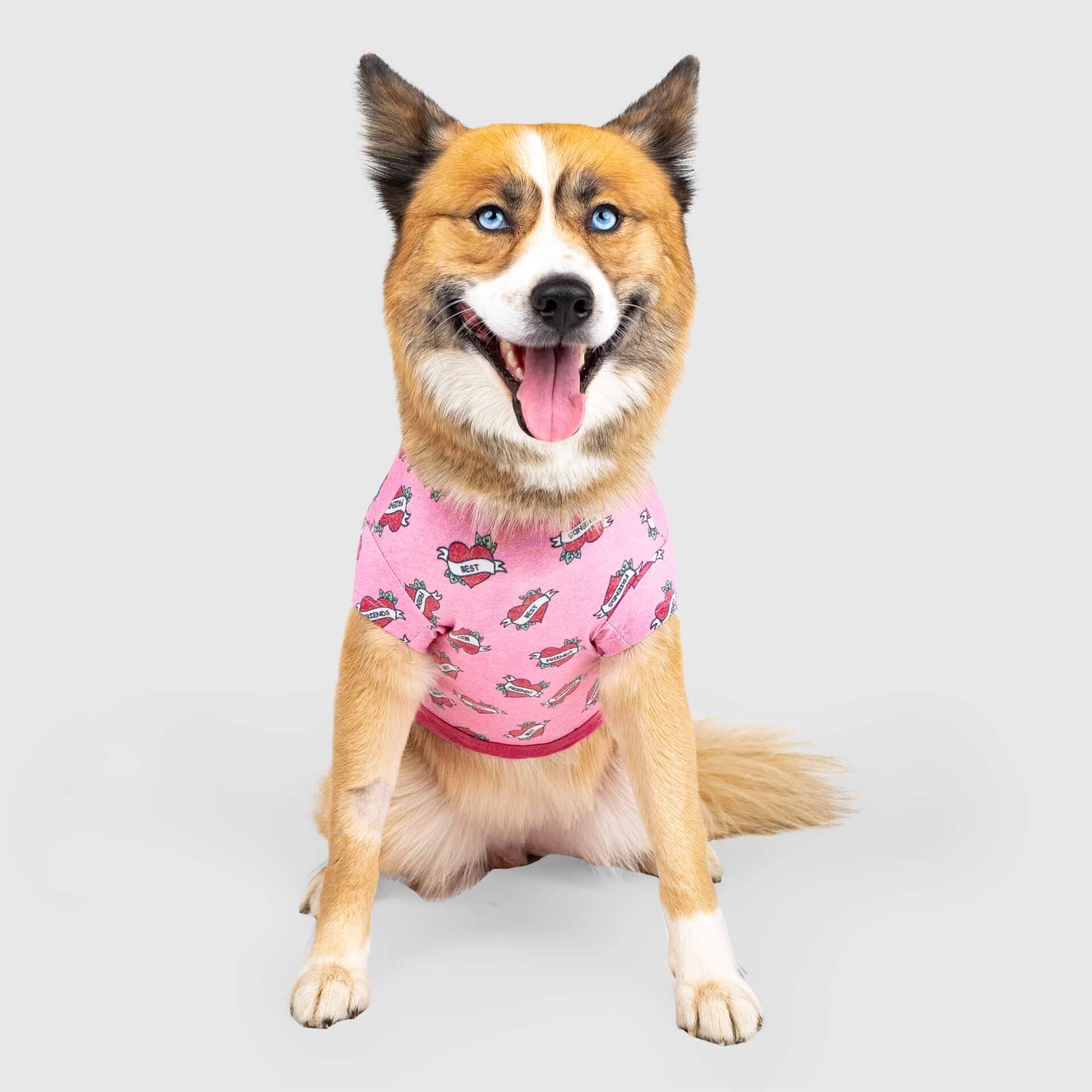Flame Dog Tee N12250