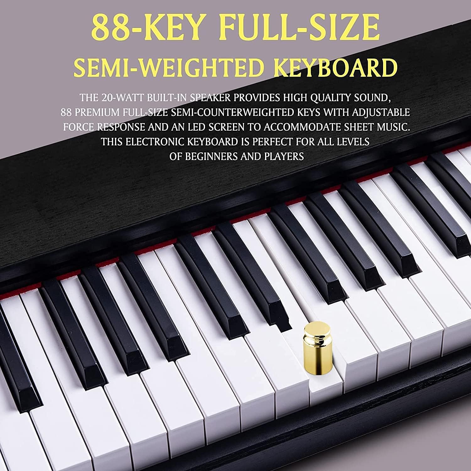 88 Key Full Size Weighted Digital Piano Keyboard with Pedal C25922
