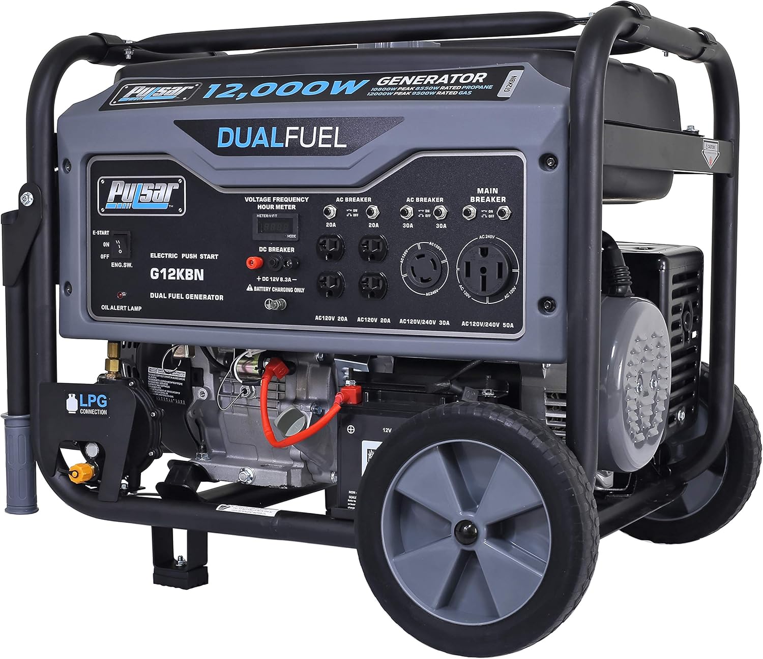Heavy Duty Portable Dual Fuel Generator P694