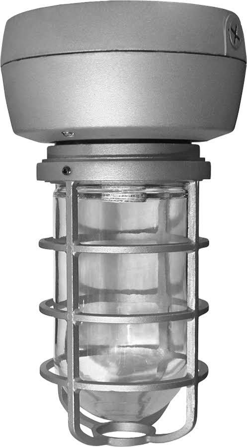 70W Metal Halide Ceiling Light with Glass Globe Cast Guard U188314
