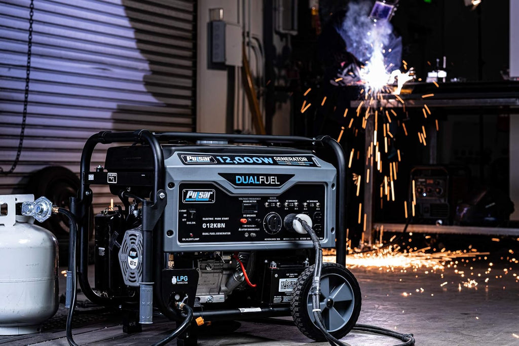Heavy Duty Portable Dual Fuel Generator P694