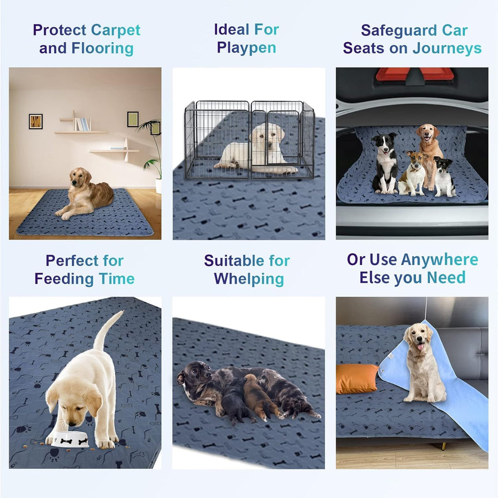 Washable Non Slip Dog Pee Pads, Grey Paw Print, Pack of 2 C92645