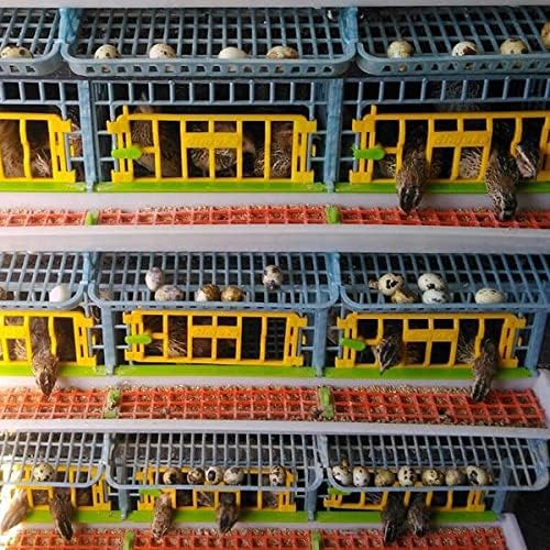 4 Layer ABS Plastic Quail Cage I645436