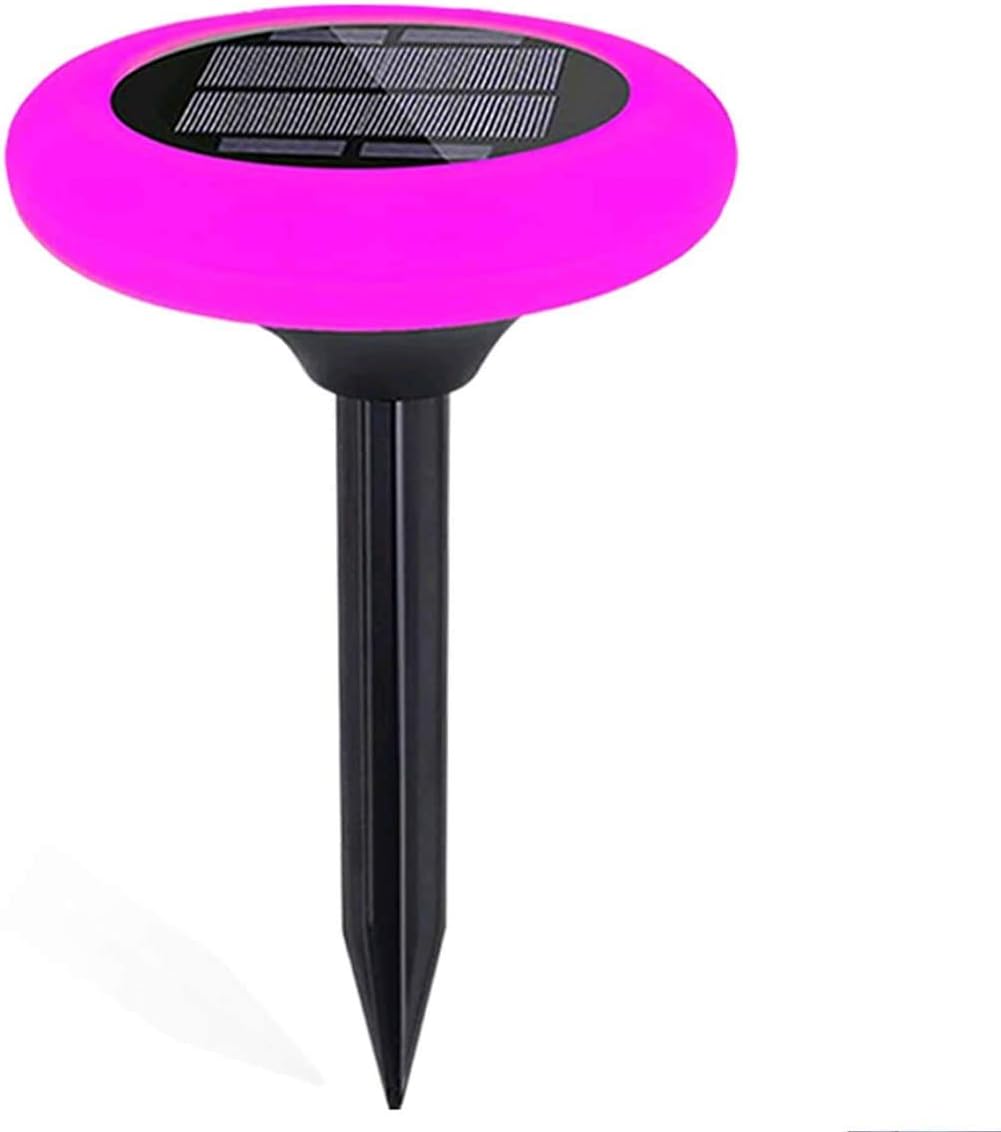 7 Color Solar Pathway Lights (4Pack) X392534