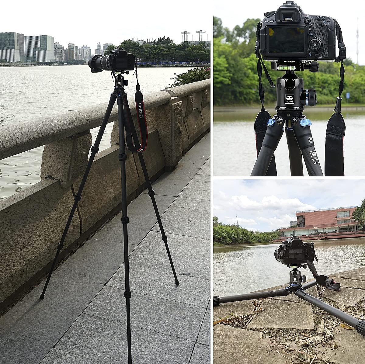 Carbon Fiber Tripod with K20X Head Quick Release Plate J81135