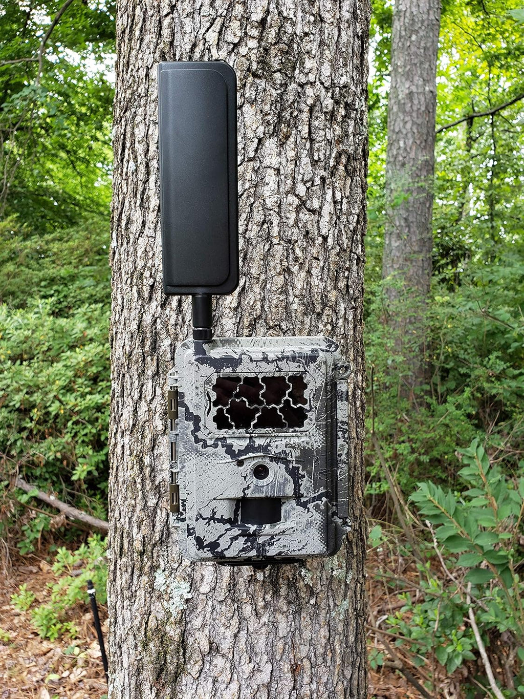Verizon 4G LTE Wireless Trail Camera with Batteries, SD Card, Card Reader, and Mount C2648