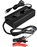 29.2V 20A LiFePO4 Iron Phosphate Batteries Charger H549828