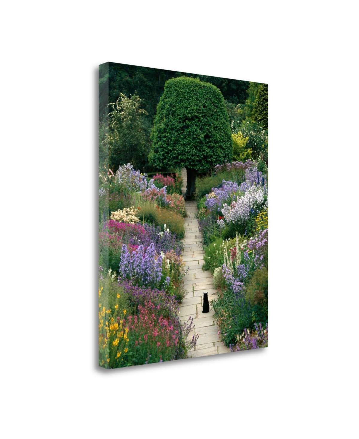 Fine Art Giclee Print B396