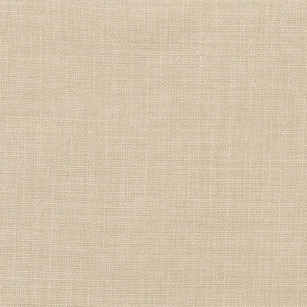 Accent Arm Chair U1009