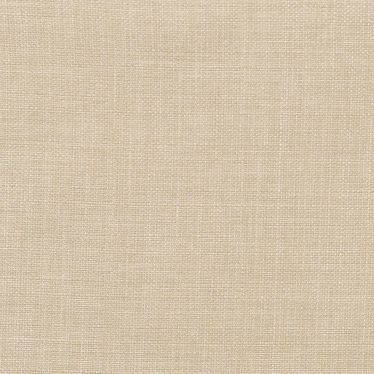 Accent Arm Chair U1009