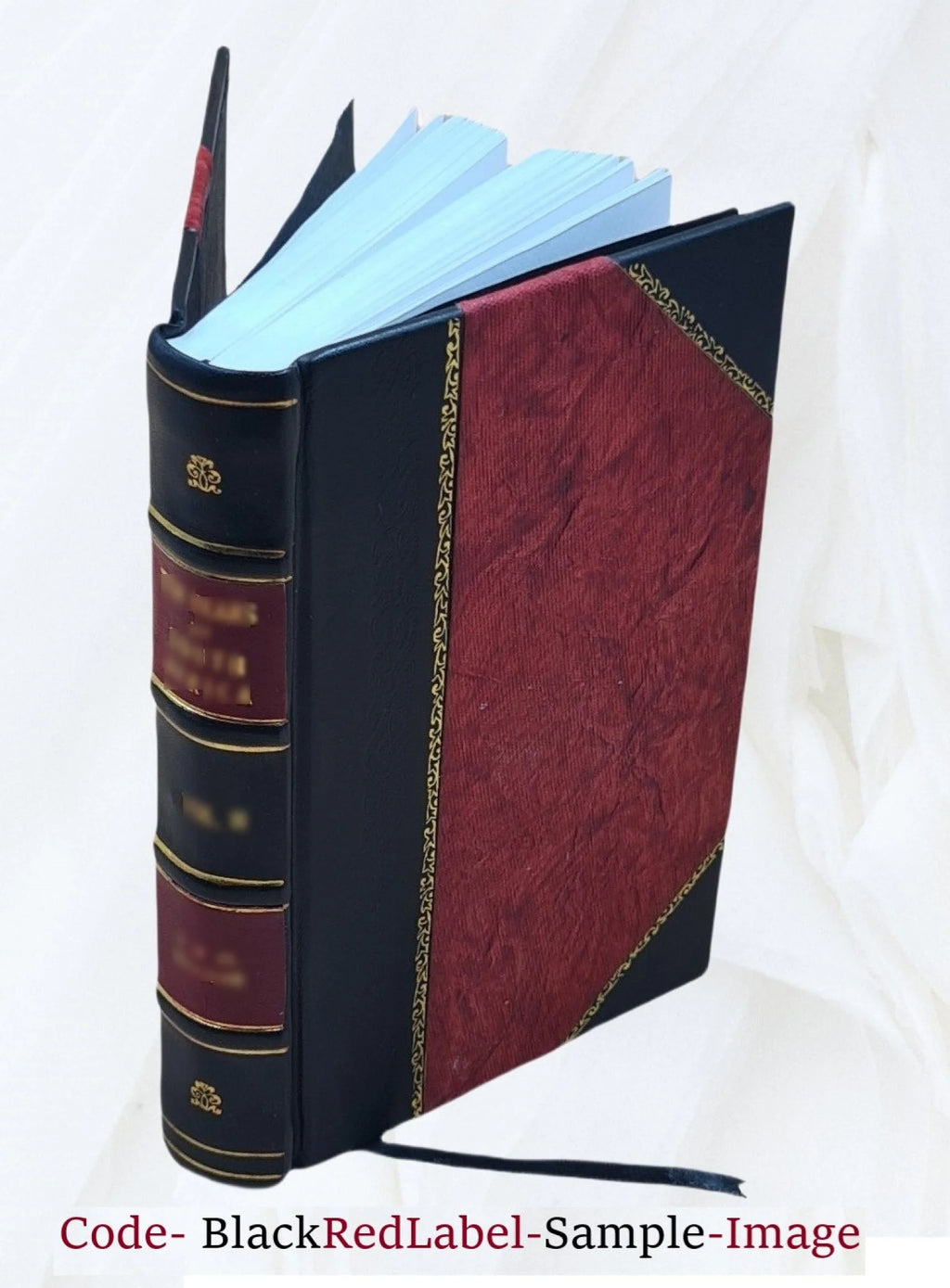 1880 Leather Bound Book D500995