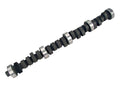 Magnum Camshaft D137017